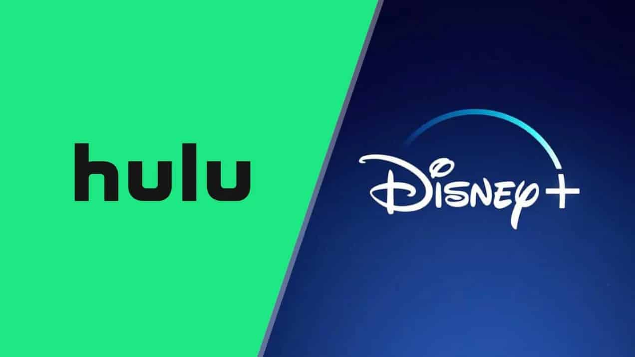 Hulu/Disney+ Logo